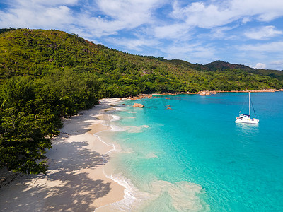 普拉兰塞舌尔热带岛屿，拥有海滩和棕榈树，Anse Lazio 海滩，棕榈树矗立在塞舌尔 Anse Lazio 荒凉的热带岛屿梦幻海滩上