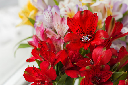 一对红色六出花的结婚戒指和订婚戒指。