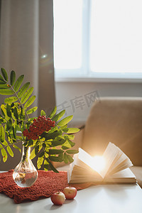 秋天的静物画，花瓶里有罗文树枝，书和苹果在舒适的家居室内