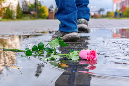 路人女主摄影照片_在路人的背景下，一朵玫瑰躺在水坑里