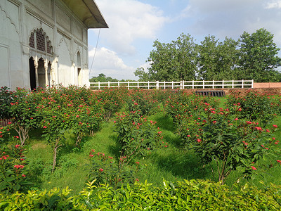 红堡校区，拉尔奇拉德里 - 世界遗产，印度