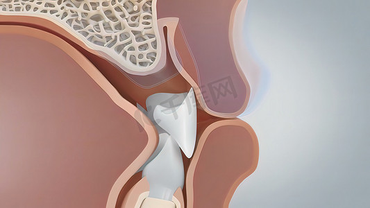 如果牙龈退缩过多，可能会导致骨质流失，从而导致牙齿松动或脱落。