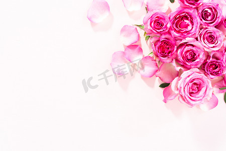 玫瑰妇女节摄影照片_粉红玫瑰