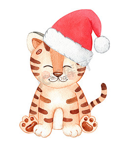 水彩可爱的老虎在圣诞老人红色帽子隔离在白色背景