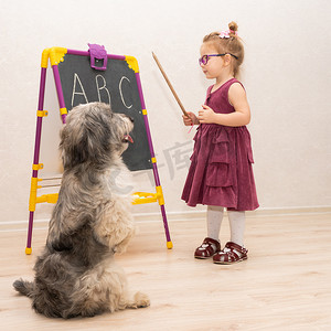 宠物学校学校摄影照片_小女孩老师在学校和她的狗玩耍，并展示她的英文字母。