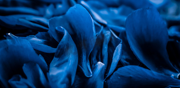 蓝色花束摄影照片_抽象花卉假日艺术背景、梦想花园中的蓝色盛开花瓣以及豪华水疗品牌和婚礼邀请设计的自然之美