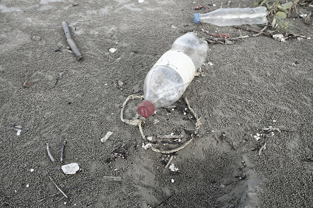 海洋中的塑料水瓶污染（环境概念）。
