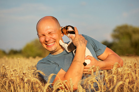 阳光午后摄影照片_麦田里的男人，午后的阳光，手上抱着杰克罗素梗犬小狗，把头移开，因为狗正在舔和咀嚼脸颊和耳朵。