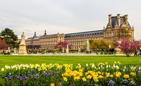 奇妙的春天杜乐丽花园和法国巴黎卢浮宫的景色。 