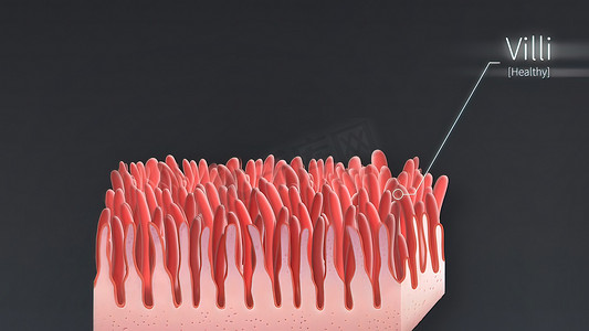肠道设计摄影照片_显微镜下肠道内真实的绒毛。
