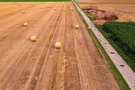 貂蝉仲夏夜摄影照片_仲夏时节，一条土路将干草捆的田地与玉米田隔开，如无人机所见