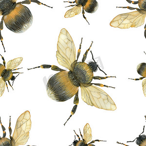 水彩昆虫摄影照片_水彩无缝图案与脂肪蓬松的大黄蜂