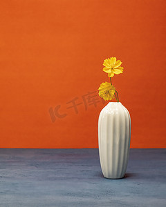 花瓶蓝色摄影照片_白色花瓶里的两朵黄色野花