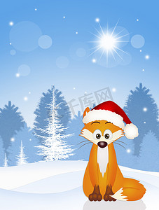 森林郊狼摄影照片_圣诞节的红狐狸
