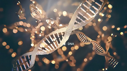 DNA 序列视图 3d 医疗