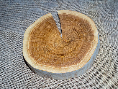 木桩年轮摄影照片_木树桩、横截面、切木树干切片