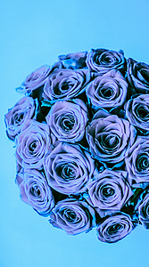 蓝色玫瑰的魅力豪华花束，鲜花盛开作为花卉节日背景