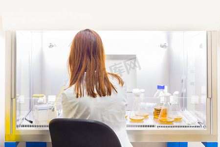在生命科学电晕病毒疫苗开发实验室研究的女科学家