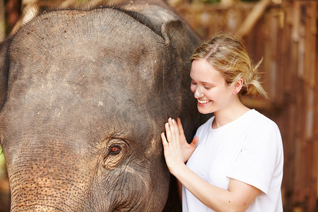 年轻研究员与亚洲象幼崽 - 泰国。