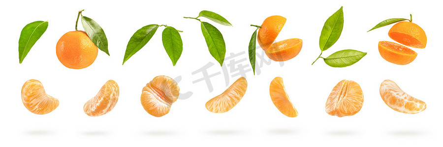 大套橘子部分，不同的橘子部分隔离在白色背景上。