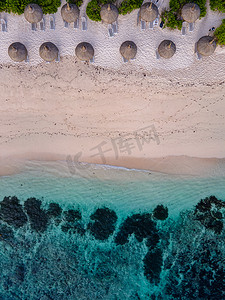 Le Morne 海滩毛里求斯，带棕榈树和白色沙滩蓝色海洋的热带海滩和带雨伞的沙滩床、太阳椅和遮阳伞在热带海滩的棕榈树下，Le Morne 海滩毛里求斯