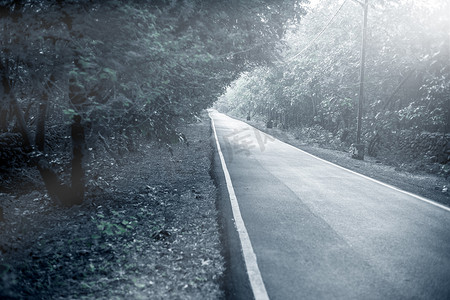 秋季长长的乡村森林道路的风景拍摄，以平静的黑白相间。