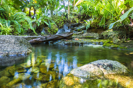 自然界中的绿色摄影照片_春季热带花园中的瀑布。