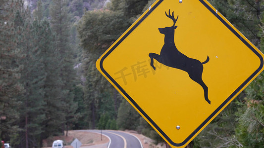 鹿穿越黄色路标，美国加利福尼亚州。