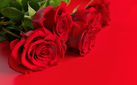 红色花瓣摄影照片_红色工作室背景下的红玫瑰花束的低角度视图。