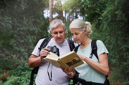 人鸟摄影照片_老白人夫妇在徒步旅行时在森林里观鸟时使用双筒望远镜和一本书。