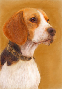 写意狗摄影照片_比格犬的油画肖像