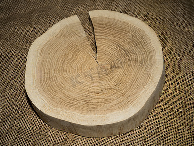 木桩，横截面，切木树干切片。