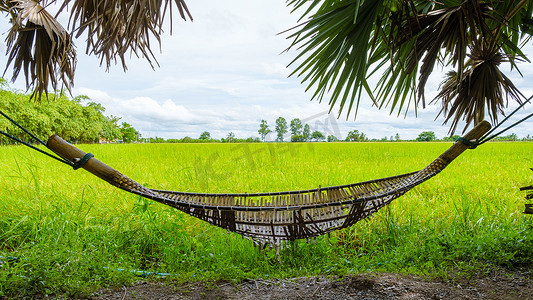泰国中部生态农场寄宿家庭的吊床，有稻田，稻田