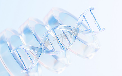 透明玻璃 DNA 结构，3D 渲染。
