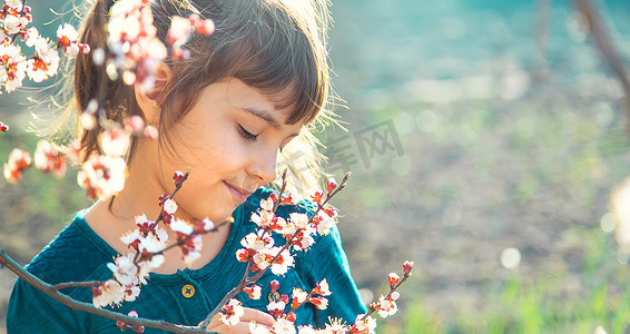 树木的孩子摄影照片_一个孩子在开花树木的花园里。