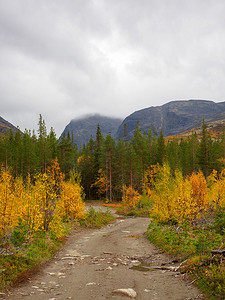 秋天盛开的苔原之间的道路是 Khibiny 山脉的阴暗景观