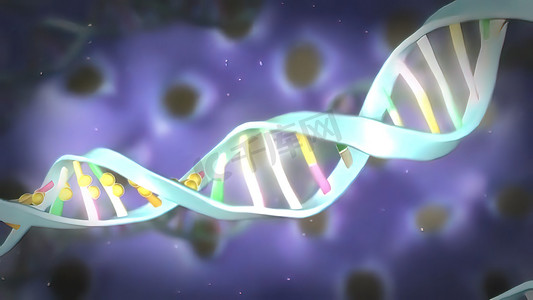 DNA 甲基化和细胞重编程