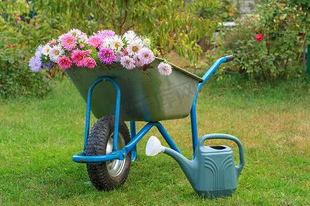 夏季花园配有独轮车和喷壶。