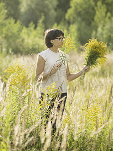 女人正在秋天的田野上采摘一枝黄花，通常称为黄花。