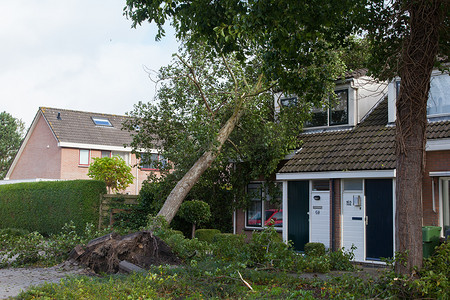 荷兰吕伐登，2013 年 10 月 28 日：大规模风暴袭击了