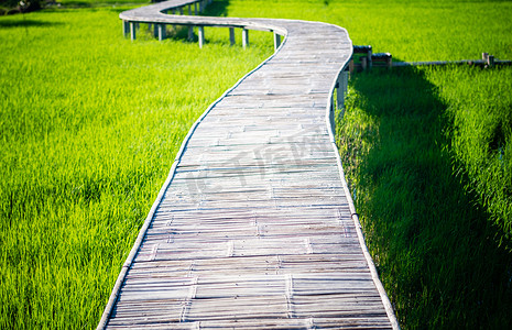 竹径摄影照片_曲线竹桥。