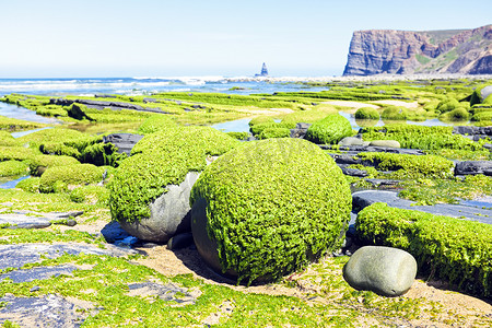 亚特兰蒂斯摄影照片_葡萄牙西海岸长满海藻的岩石