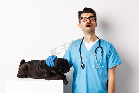 悲伤的男医生对可爱的黑狗哈巴狗生病躺在兽医诊所的桌子上、兽医哭泣和抚摸小狗、白色背景表示同情