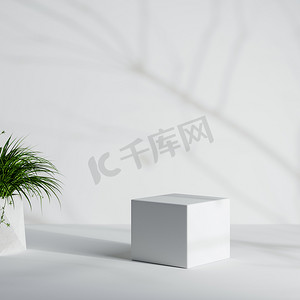 白色最小产品讲台与室内植物和树干和树叶阴影背景。 