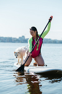 清晨，快乐开朗的女人在城市湖上划桨，她的狗日本斯皮茨坐在 Sup 板上