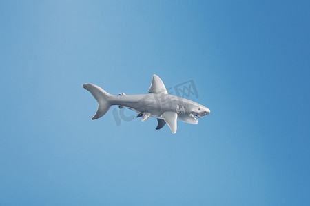 鱼鳍鲨鱼摄影照片_在蓝色背景的鲨鱼玩具与自由空间。