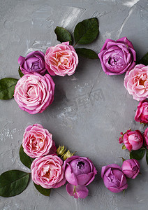 的粉色背景摄影照片_粉红玫瑰躺在灰色的混凝土背景上。