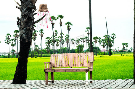 背景为棕榈树和新鲜绿色稻田自然的空木凳