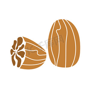 肉豆蔻，用于坚果和种子包装设计的手绘图形元素