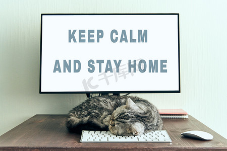 工作生活睡觉摄影照片_保持冷静，呆在家里的概念。